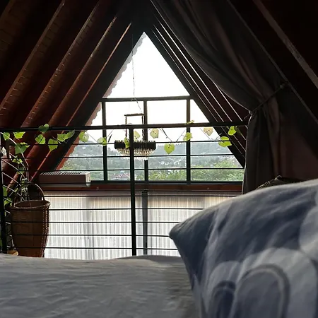 Rize Hanzade Suit Bungalov Kır Evi Pazar (Rize)
