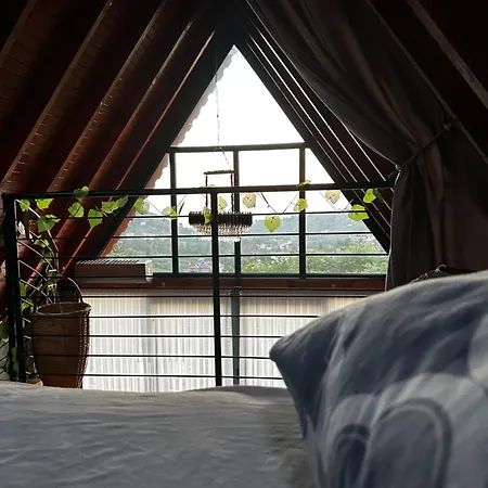 Kır Evi Rize Hanzade Suit Bungalov Pazar (Rize)