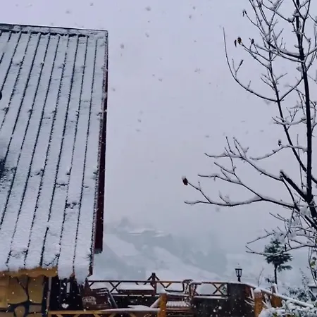 Rize Hanzade Suit Bungalov Kır Evi Pazar (Rize)